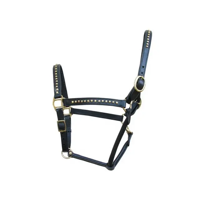 Trendy Designed Black Leather Horse Halter With Brass Fitting Professional Horse Racing Halter Equestrian