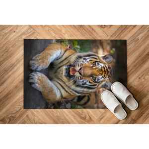 Tapis d'entrée motif animaux de la jungle, paillasson imprimé tigre réaliste, tapis doux non tissé - Product Image 2