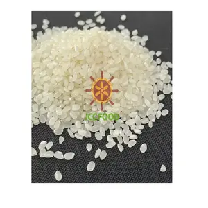 STABLE QUALITY SOFT TEXTURE SHORT GRAIN RICE WHITE JAPONICA 2% BROKEN JAPANESE SUSHI RICE EXPORTED BY JCC VIETNAM RICE SUPPLIER