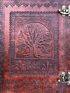 400 Paños de edad, XTRA grande, eether, ature sobre IFT 10*13 in - Product Image 5