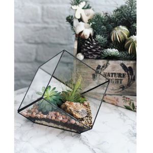 Attractive Product Clear <b>Glass</b> Black and Gold Finished Hanging Geometric Decorative <b>Terrarium</b> Custom Size Home Office Decoration - Product Image 6
