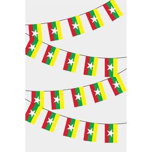 Banderines Rectangulares con Impresión Digital, Banderas de Poliéster Estilo Pennant, Modelo de Banderas del Mundo para Automoción, Seguros y Educación - Product Image 1