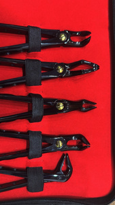 WORLD PRECISION SURGICAL Kit chirurgical manuel d'extraction dentaire en argent, 10 pièces, en acier inoxydable, avec poignée ergonomique, CE - Product Image 3