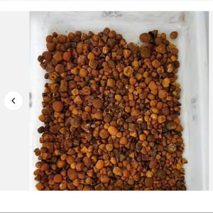 Cálculos biliares naturales de vaca, cálculos biliares excepcionales naturales 100%, piedras biliares de vaca/cálculos biliares de buey - Product Image 1