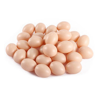 Œufs de poule bruns frais biologiques brésiliens de haute qualité, œufs de table, durée de conservation de 24 mois, prix compétitif, vente en gros, marque personnalisée