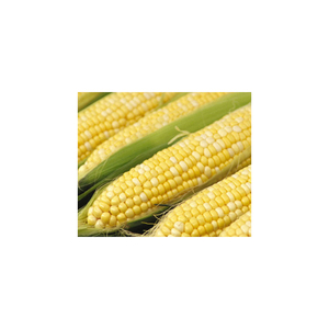 Maïs jaune sec brésilien en vrac, maïs jaune sec pour aliments pour animaux, vente en gros, Grain de maïs jaune brésilien - Product Image 2