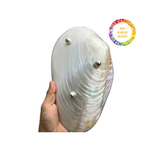 Bandeja de plato de cuenco decorativo costero náutico de media concha de madreperla de 99 DATOS dorados en Vietnam - Product Image 4