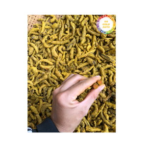 Rhizomes séchés au curcuma entiers et tranchés authentiques source du Vietnam idéal pour les mélanges de curry assaisonnement alimentaire et l'approvisionnement à l'exportation - Product Image 1