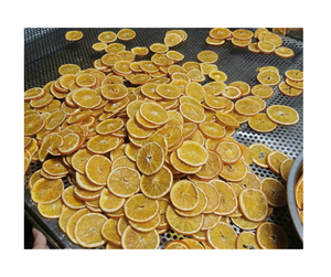 Superior Dried Orange Vietnam Factory Premium Dried Orange Slices Bulk Export <b>Large</b> <b>Sweet</b> Crispy Snack Beverage Market - Product Image 1