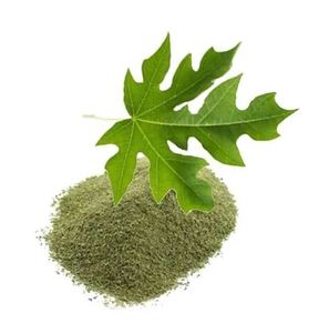 Poudre d'extrait de boost de vitalité de papaye Poudre de feuilles de papaye pure sans OGM Poudre de feuilles de papaye pratique à boire Prix d'usine - Product Image 2