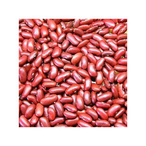 Granos de riñón rojos con exportación, granos de riñón rojos de alta calidad, venta al por mayor - Product Image 2