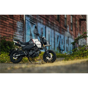 CFMOTO Papio CL 2024 - Product Image 3