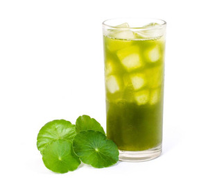 Purée de jus d'ombelle naturelle de qualité supérieure prête à boire Norme d'exportation de qualité congelée - Product Image 5