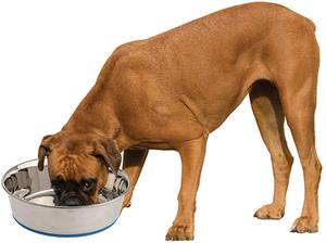 Cuenco extra grande de acero inoxidable para perros de 2600ml, impresiones de logotipo personalizables, diseño sólido, agarre antideslizante, alimentador duradero de comida y agua para mascotas - Product Image 3