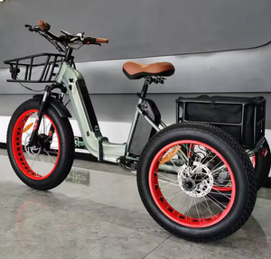 Triciclo Eléctrico de Carga Pesada de Tres Ruedas, 350W, para Adultos Mayores, Listo para Enviar - Product Image 1