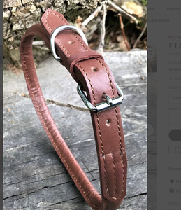 Collier de chien en cuir vert de haute qualité pour lévrier et Whippet - Product Image 3