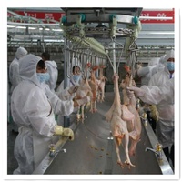 500-5000 BPH Machine d'abattage de poulet automatique Halal Abattoir de poulet pour ligne d'abattage de volaille