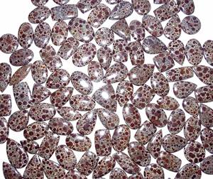 Piedra Preciosa Natural de Jaspe Astrolita Suelta al por Mayor, Cabujón de Jaspe Astrolita, Hermosa Piedra Preciosa para Joyería - Product Image 6