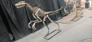 New Technology Jungle <strong>Dinosaur</strong> Park <strong>Dinosaur</strong> Model for Museum Display DINOSKY - Product Image 4