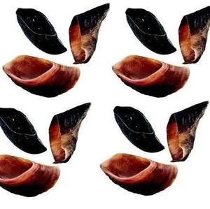 Advance Pet Products Organic Natural Buffalo Hooves Dog Chew Treat Long Lasting for Healthy Teeth & Gums Grain-Free High-Protein - Product Image 2