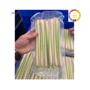 ตะไคร้แช่แข็งต้นกำเนิดจากเวียดนามสำหรับการส่งออกจำนวนมากและอุตสาหกรรมอาหารใช้พร้อมรับประกันความสดใหม่ - Product Image 3