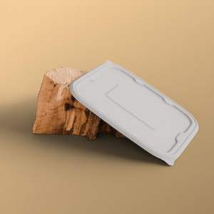 2025 Boîte à lunch de bagasse de canne à sucre biodégradable jetable Couvercles de conteneurs alimentaires durables à 2 compartiments Plats à haute exportation - Product Image 2