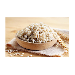 Bulk <b>barley</b> grain wholesale supply with fast global delivery - Product Image 2