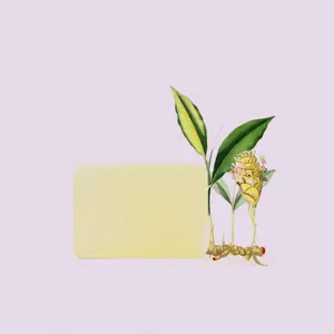 Savon au Curcuma, au Bois de Santal et à la Néroli - Product Image 3