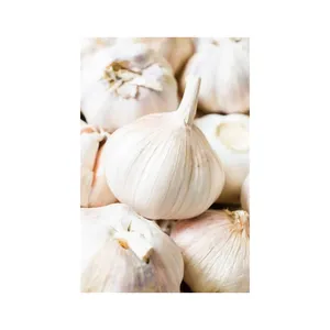 Nouveau fournisseur d'ail frais offre de l'ail blanc pur - Product Image 1