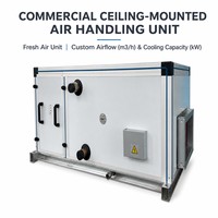 Unité de Traitement d'Air (UTA) Commerciale Murale RNS-332 pour l'Aération, Capacité de Refroidissement Personnalisée pour Hôtels, Bureaux, Centres Commerciaux et Écoles