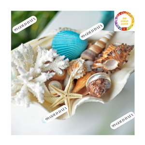 เปลือกหอยธรรมชาติคละขนาดหอยสังข์ผสมปลาดาวตกแต่งชายหาดงานฝีมืองานแต่งงานขายส่ง - Product Image 3