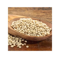 Semillas de Sorgo Blanco Milo, Granos de Sorgo, Precio del Sorgo por Tonelada para la Venta