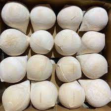 Coco Entero Pulido Premium - Seleccionado a Mano y Limpio a Máquina - Product Image 6