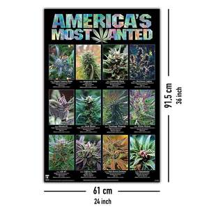America's Most Wanted <b>Poster</b> Modern Design Style Black Frame Paper Material Marijuana Strains Wall Art - Product Image 5