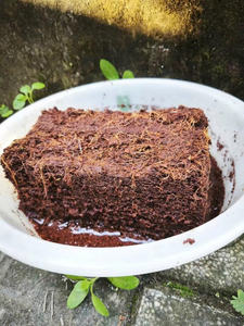 Bloque de turba de coco Low EC de 5kg-Medio de cultivo de fibra de coco natural 100% de Eco2go Vietnam - Product Image 4