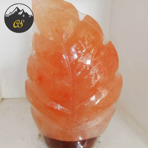 Lámpara de Sal Rosa Natural en Forma de Hoja, Portátil, con Interruptor y Regulador de Intensidad, Cable USB, Diseño Artístico de Nature's Delight - Product Image 4