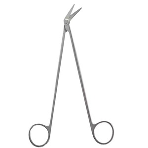 Phẫu Thuật Tùy Chỉnh <span class=keywords><strong>Cardio</strong></span> Mạch Máu Kéo 19Cm Thép Không Gỉ <span class=keywords><strong>Cardio</strong></span> Ngực Phẫu Thuật Kéo Cụ - Product Image 5