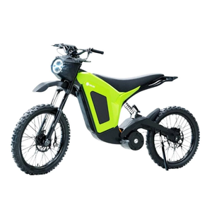 Moto électrique tout-terrain pour adultes, phare avant, pneus à crampons, utilitaire, 200-350W, 72V 60V, vitesse maximale <40 km/h - Product Image 1