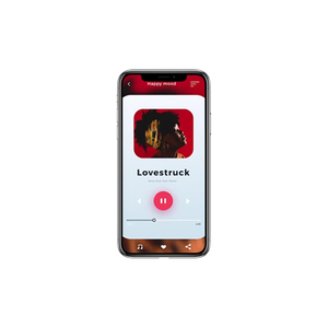 Construire un lecteur de musique avec un design minimaliste Optimisation du lecteur de musique pour les appareils mobiles Intégration du lecteur de musique avec la voix - Product Image 2