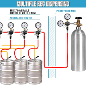 Régulateur de CO2 avec connecteur de gaz métal maison brassage bière barre professionnelle accessoires de bière un bloc une connexion - Product Image 6