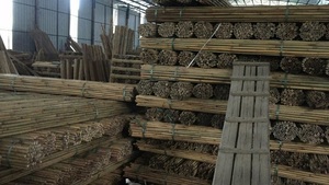 Poteau en bambou-Canne en bambou droite sèche naturelle pour la construction avec approvisionnement de grande taille en vrac du Vietnam - Product Image 3