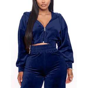 Tenues 2 pièces pour femmes Survêtement en velours Zip up Crop top Style Hoodie Velour Sweatpants Workout Sweatsuit - Product Image 4
