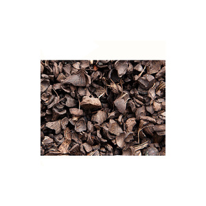Palm Kernel Shell disponibilidad a granel suministro al por mayor calidad duradera stock envío rápido - Product Image 5