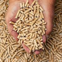 Vietnam granulés de bois/granulés de bois vers l'UE, États-Unis, Japon-Vente en gros granulés de bois de pin/granulés de pin à bas prix