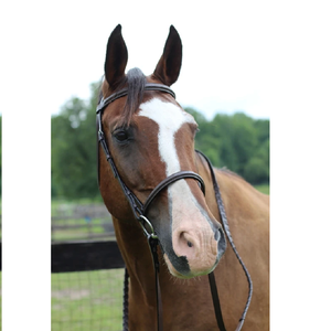 Les fabricants vendent la bride de cheval en cuir véritable en gros conception personnalisée de haute qualité bride de cheval en cuir véritable - Product Image 1