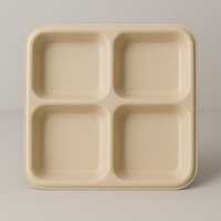 Caja de bagazo desechable ecológica con tapa