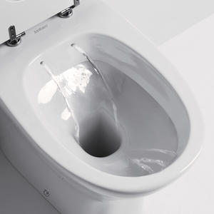 Evolution Back-to-Wall WC-Suministro de baño Premium para bidé - Product Image 4