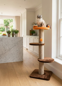 Griffoir pour chats Amistar Caramel Lift de haute qualité, adapté à toutes les races et tailles de chats. - Product Image 2