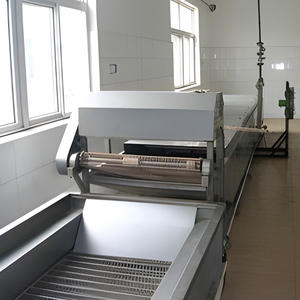 Machine à blanchir entièrement automatique Machine à blanchir et à refroidir Machine à blanchir les larves de charançons des palmiers - Product Image 4