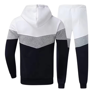Ensemble survêtement pour homme avec logo personnalisé, streetwear d'hiver, capuche, fermeture éclair, 100% coton, poids lourd, pantalon de jogging deux pièces pour - Product Image 2